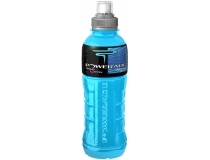 Powerade (12'li)