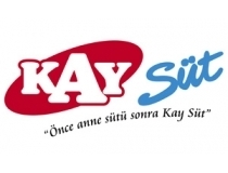 Kaysüt